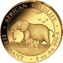 5 Unze Gold Somalia Elefant 2022 PP (Auflage: 50 | Polierte Platte)