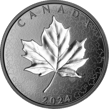 5 Unze Silber Maple Leaves in Motion 2024 PP (Auflage: 2.000 | Polierte Platte | Rhodium)
