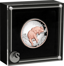 5 Unze Silber Koala 2022 PP (Auflage:500 | Polierte Platte | teilvergoldet)