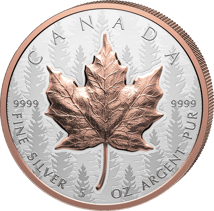 5 Unze Silber Maple Leaf 2025 (Auflage: 1.850 | High Relief | teilvergoldet | Reverse Proof)