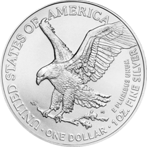 500 x 1 Unze Silber American Eagle 2024 Typ II (Masterbox)