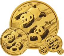 Gold China Panda Satz 2022