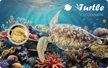 Gold Schildkröte Münze