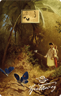 Gold Carl Spitzweg Der Schmetterlingsfänger Münze