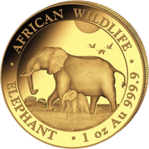 Gold Somalia Elefant First Struck Set 2022 (Auflage: 100 Stück)