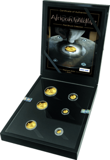 Gold Somalia Elefant First Struck Set 2024 (Auflage: 100 Stück)