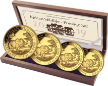 Gold Somalia Elefant Prestige Set PP 2019 (Auflage: 300 )
