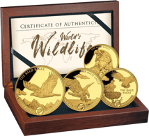 Gold Weisskopfseeadler Set 2021 (Auflage: 300 | Polierte Platte)