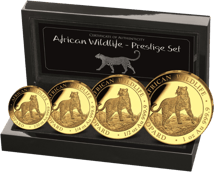 Gold World's Wildlife Leoparden Set 2022 PP (Auflage: 300 | Polierte Platte)