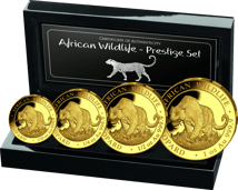 Gold African Wildlife Leoparden Set 2023 PP (Auflage: 300 | Polierte Platte)