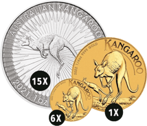 Känguru Nugget Investmentpaket S