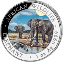 Silber Somalia Elefant Tag & Nacht Set 2026 (Auflage: 500)