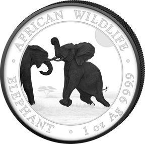 Silber Somalia Elefant Black & White Set 2024 (Auflage: 500 | 2 Münzen)