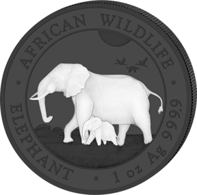Silber Somalia Elefant Black & White Set 2022 (Auflage: 500 Sets)