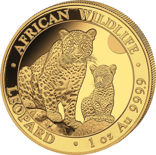 1 Unze Gold African Wildlife Somalia Leopard 2024 (Auflage: 1.000)