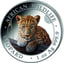 1 Unze Silber African Wildlife Leopard 2025 (Auflage: 5.000)