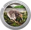 1 Unze Silber Kiwi 2024 PP (Auflage: 2.500 | coloriert | Polierte Platte)