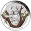 1 Unze Silber Koala 2021 (Auflage 1.500 | coloriert)