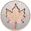 1 Unze Silber Maple Leaf Super Incuse 2022 (Auflage: 7.000 | teilvergoldet | Reverse Proof)