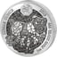 1 Unze Silber Ruanda Lunar Schwein 2019 PP (Polierte Platte | Kapsel und Zertifikat)