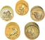 1000 x 1/10 Unze Goldmünzen Investorenpaket