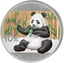 30g Silber China Panda 2017(coloriert |Auflage: 5.000)