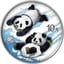 30g Silber China Panda 2022 (Auflage: 1.888 | coloriert | Produktkarte)