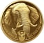 5 Unze Gold Big Five II Elefant 2021 (Auflage: 50 | 2. Motiv | im Etui)