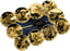 Gold The Big Five of America Set