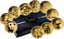 Gold The Big Five of Asia Set